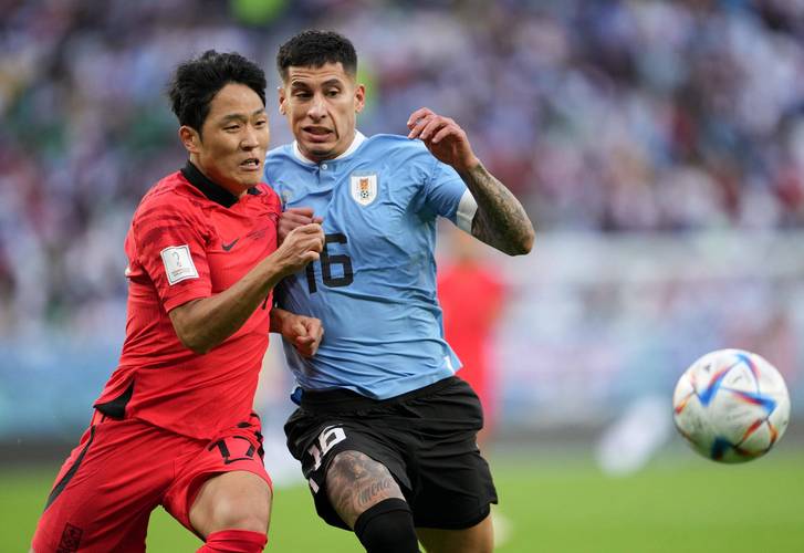 乌拉圭韩国世界杯